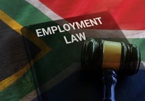 Closeup image of judge gavel and book. Employment law concept.